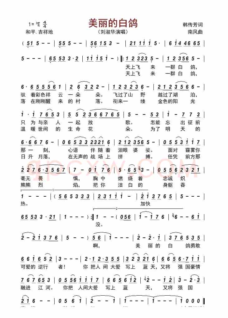 美丽的白鸽