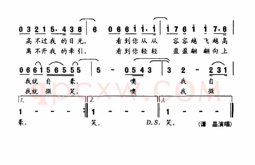 爱的风筝