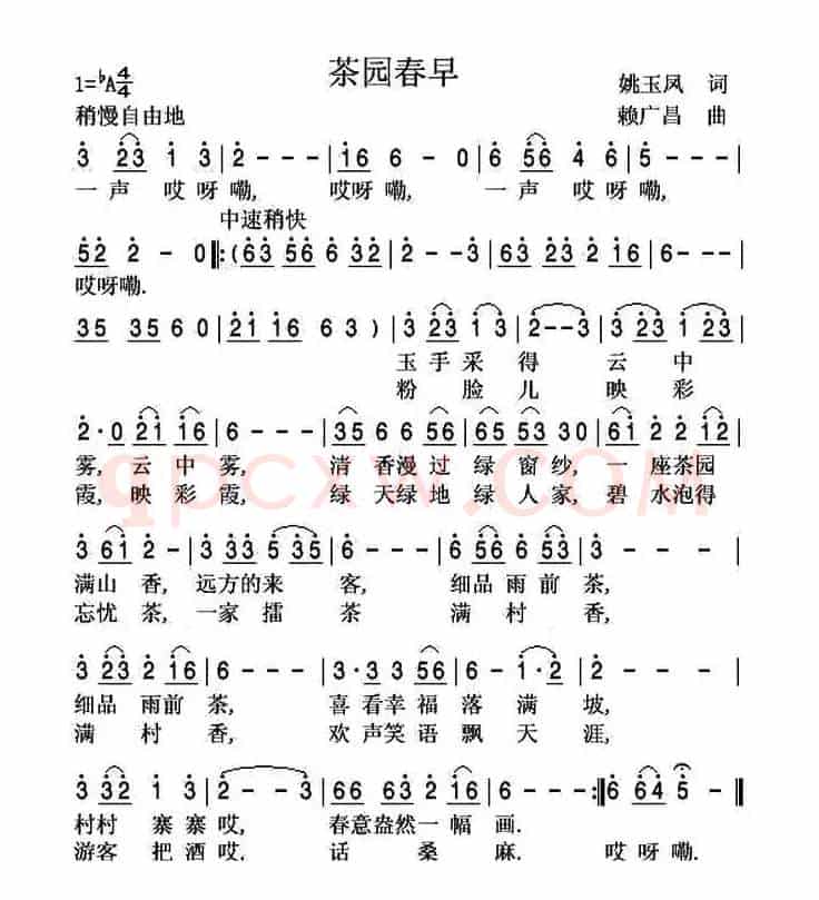茶园春早