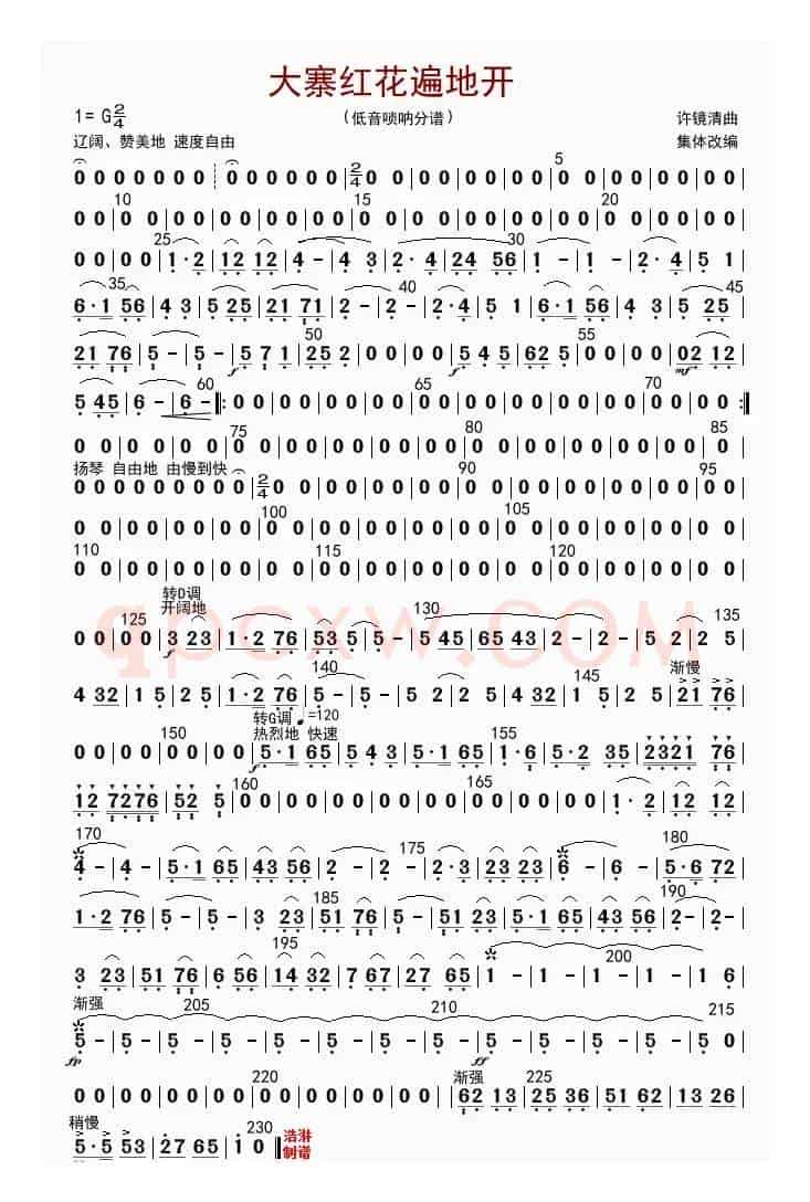 大寨红花遍地开（低音唢呐分谱）