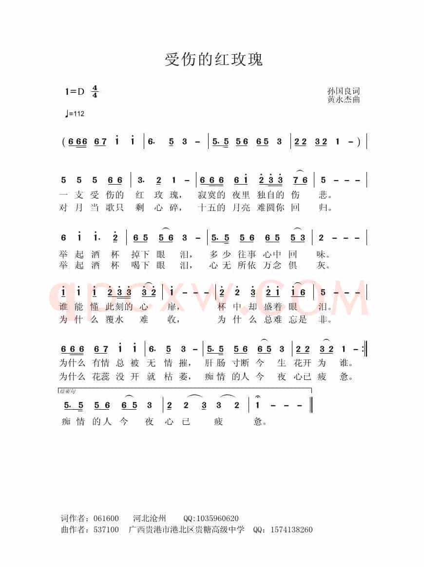 受伤的红玫瑰