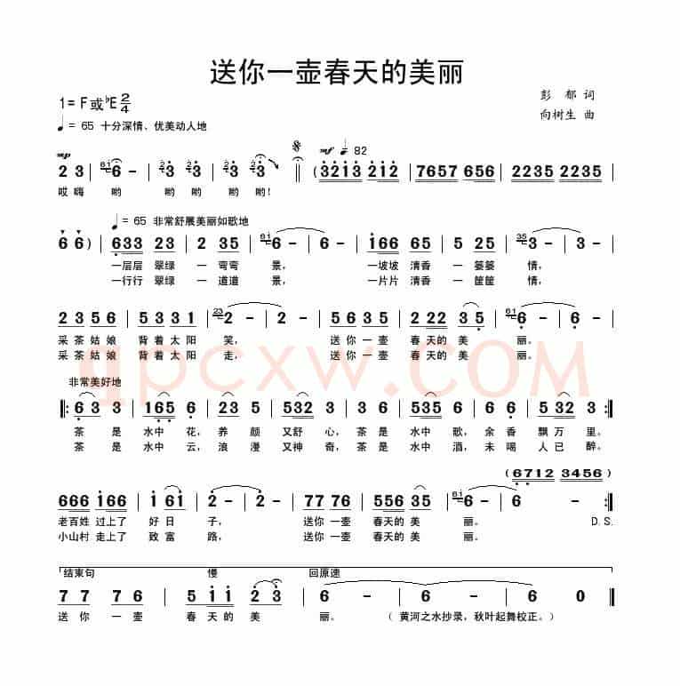 送你一壶春天的美丽