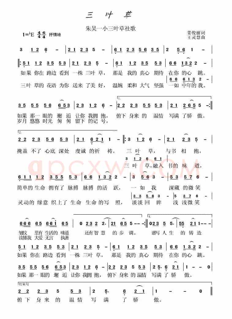 三叶草