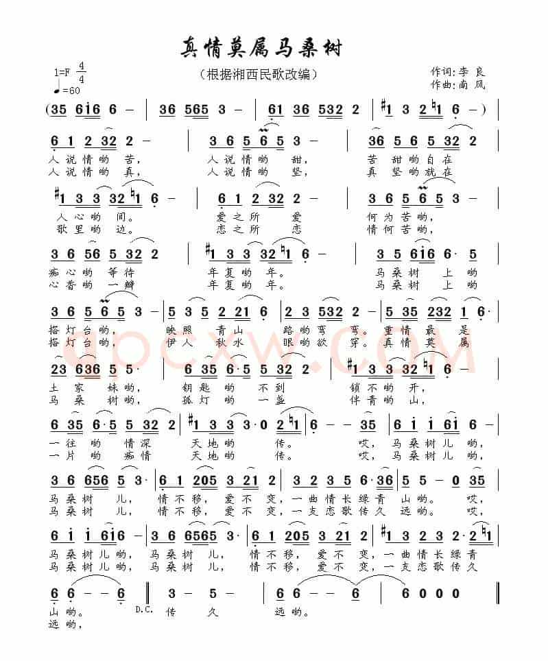 真情莫属马桑树