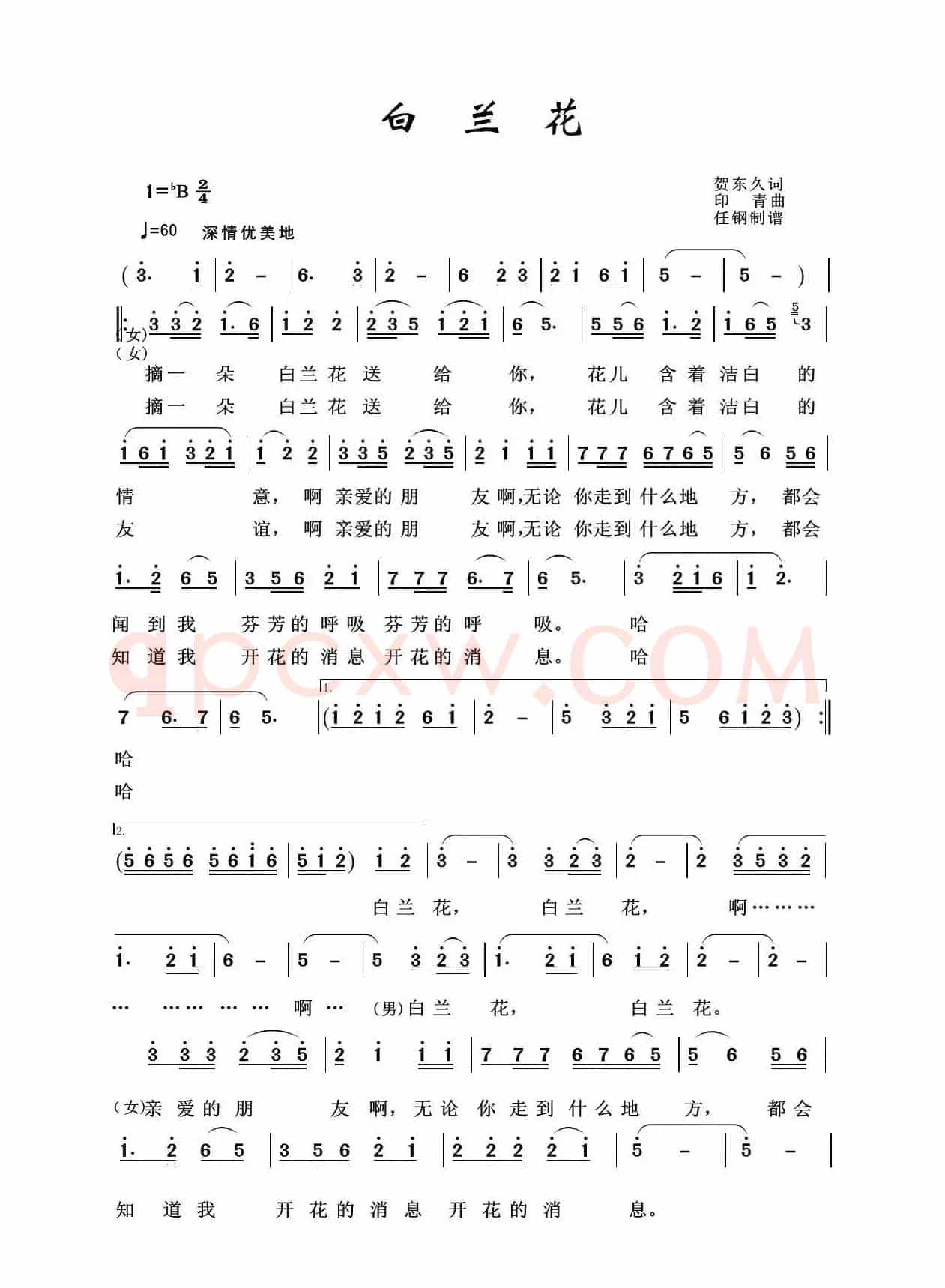 白兰花（军旅歌曲100首）