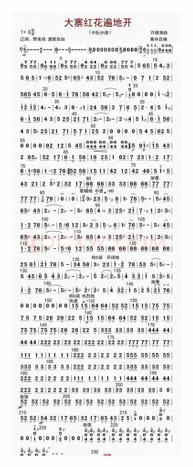 大寨红花遍地开（中阮（修改版））