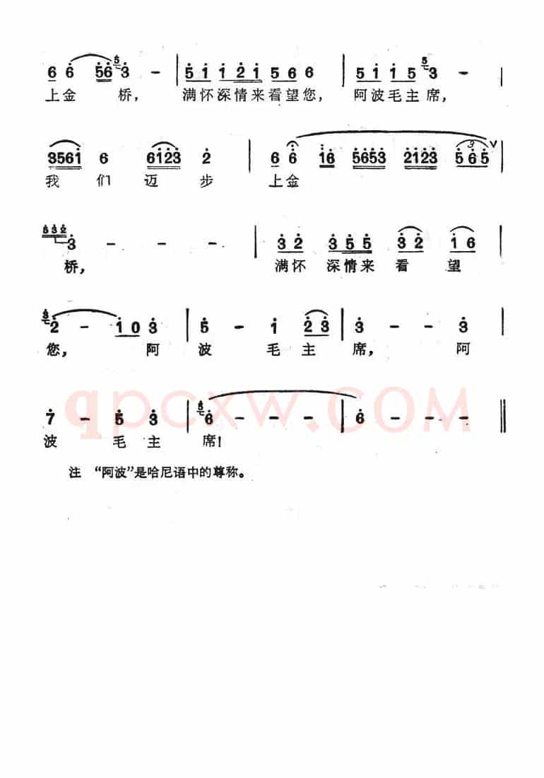 阿波毛主席