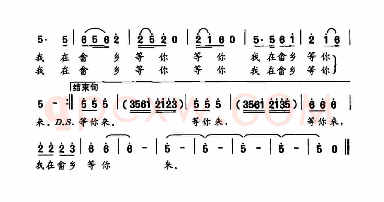 我在畲乡等你来（杜建军词 雷桂榕曲）
