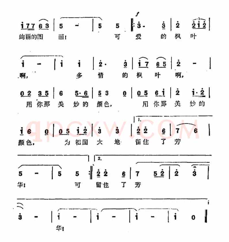 可爱的枫叶