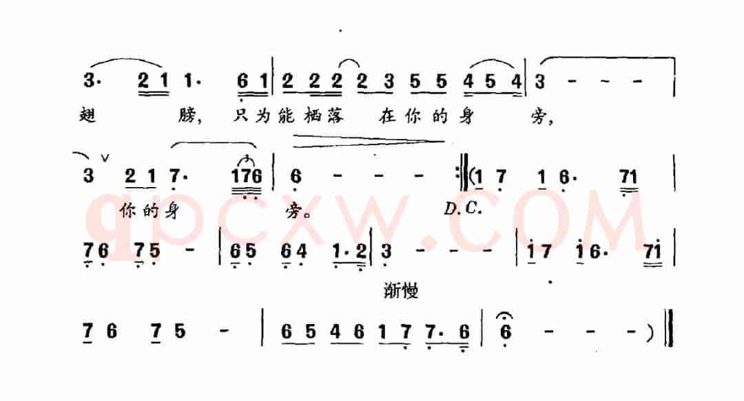一支烛光半个月亮
