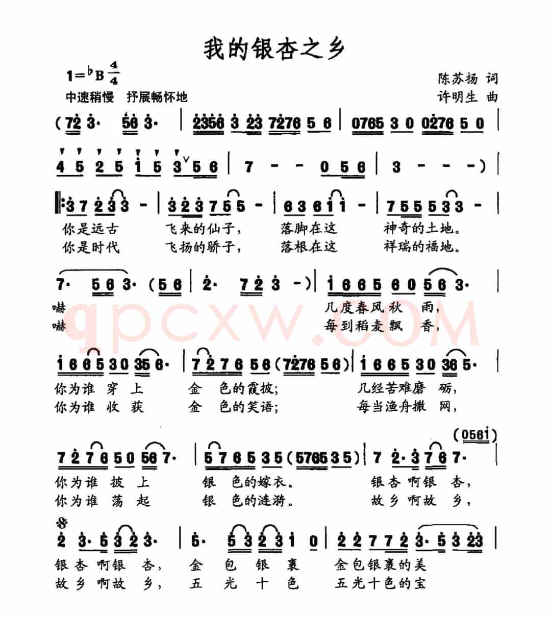 我的银杏之乡