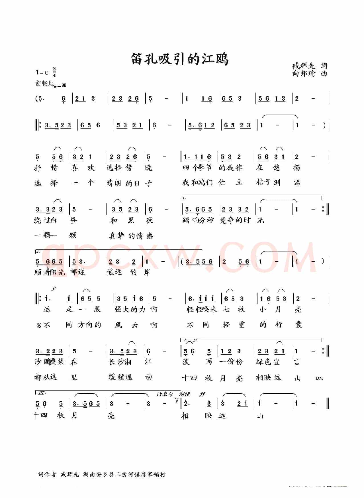 笛孔吸引的江鸥