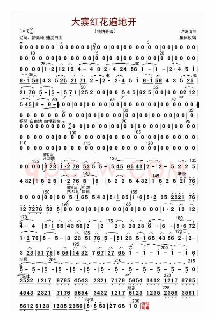大寨红花遍地开（唢吶分谱）