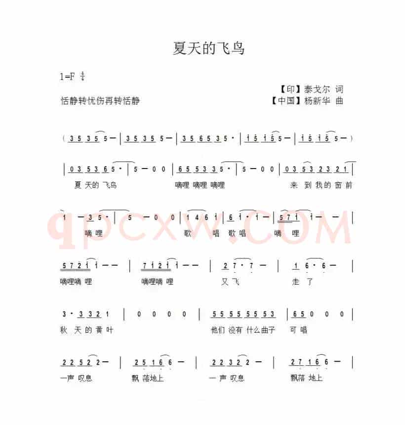 夏天的飞鸟