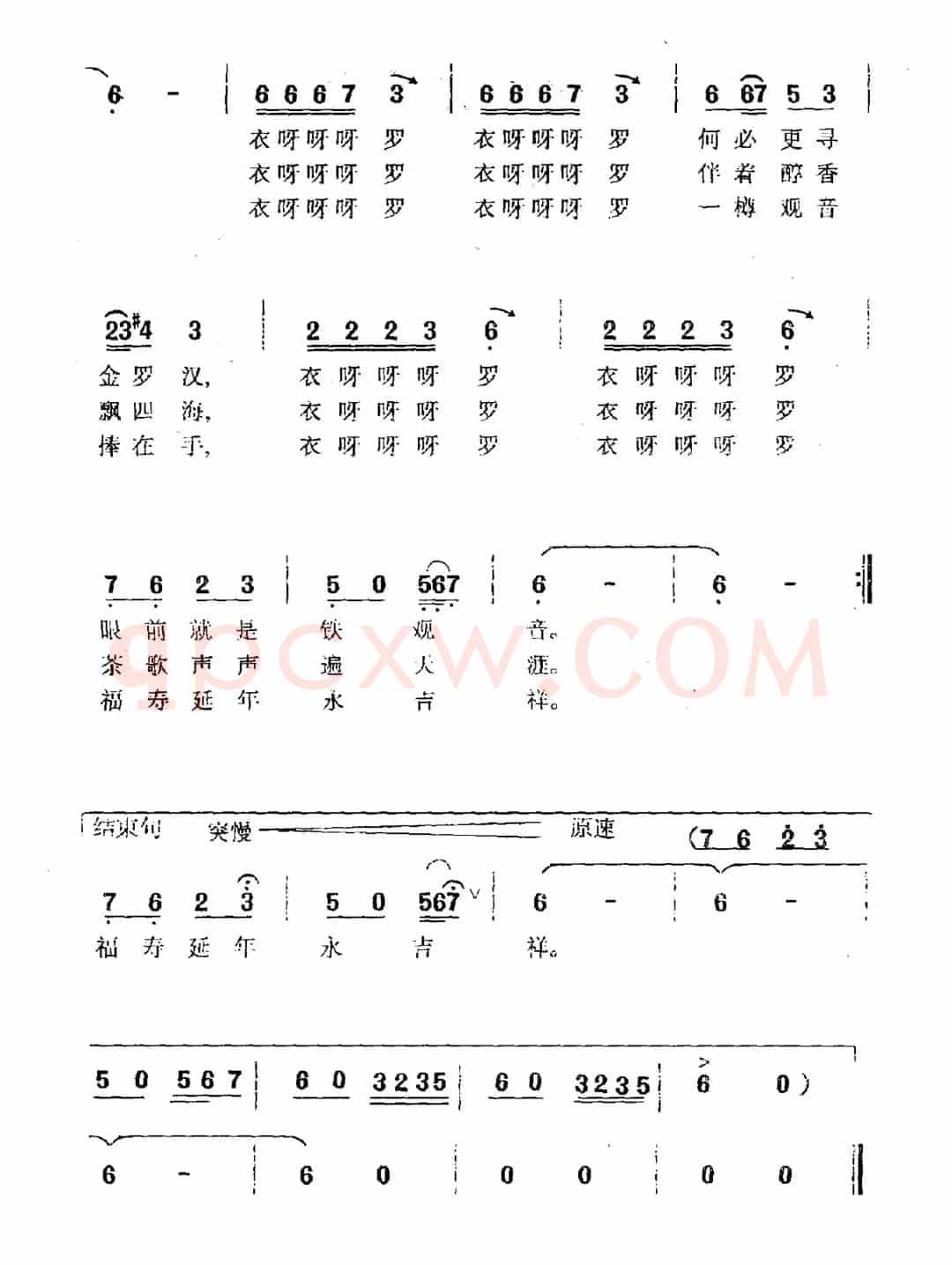 乌龙茶歌