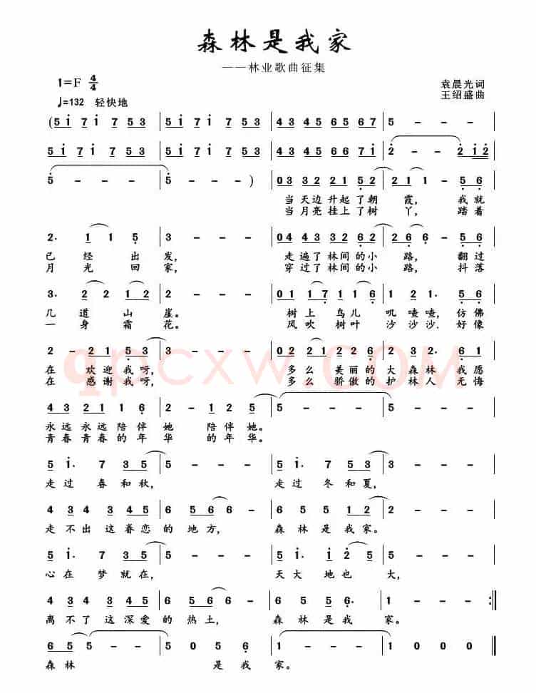 森林是我家（《森林三部曲》之三）