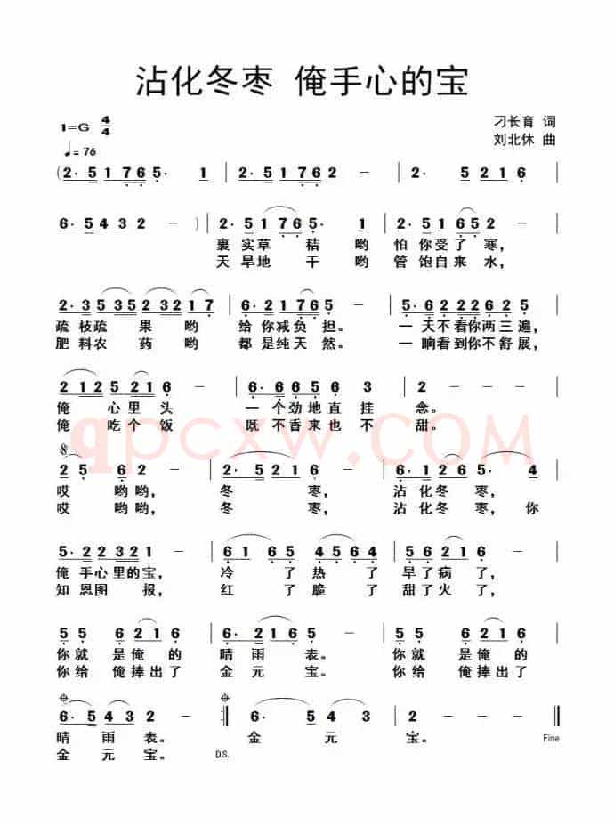 沾化冬枣，手心里的宝