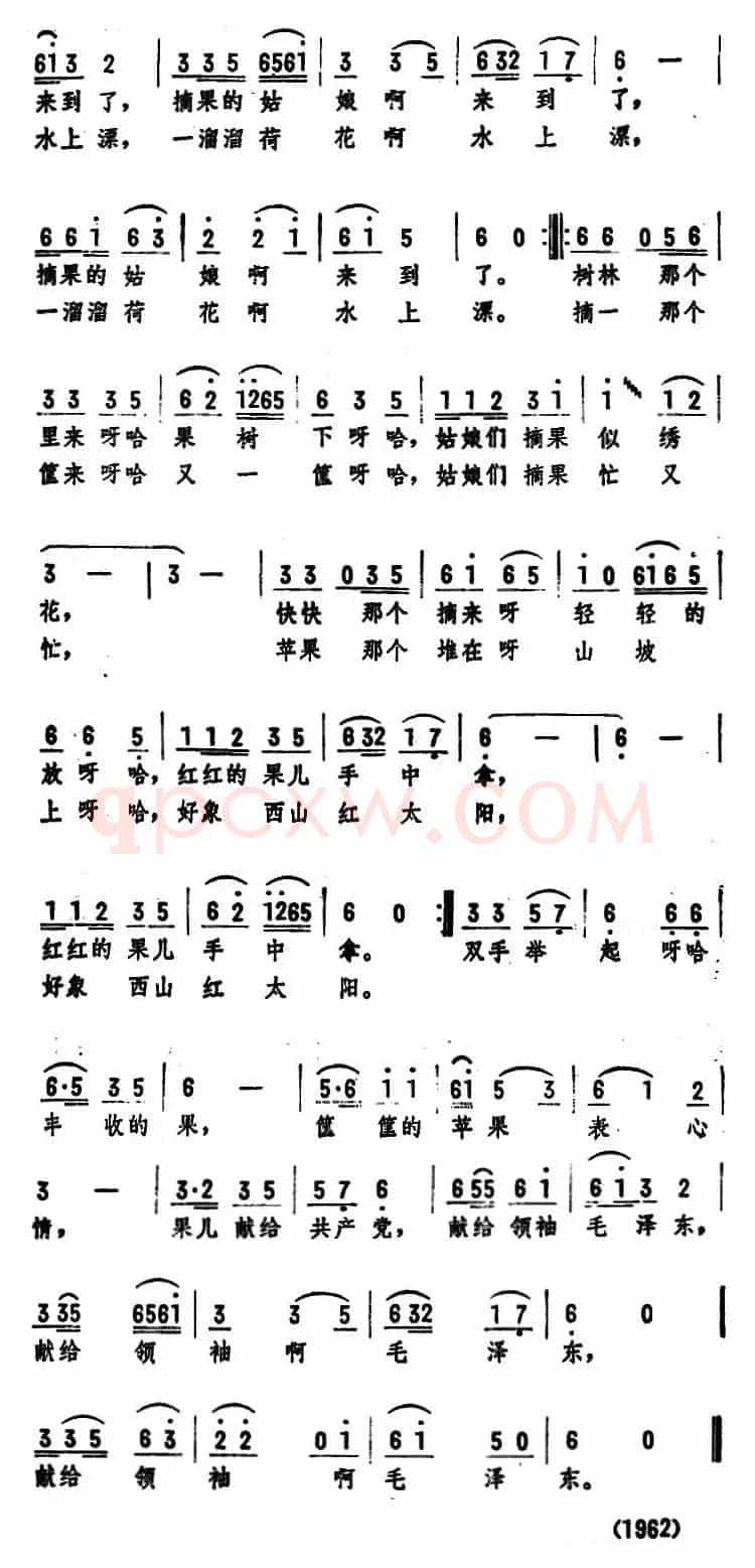 在果园里 