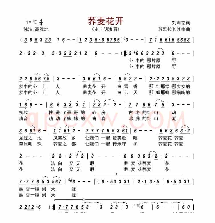 荞麦花开