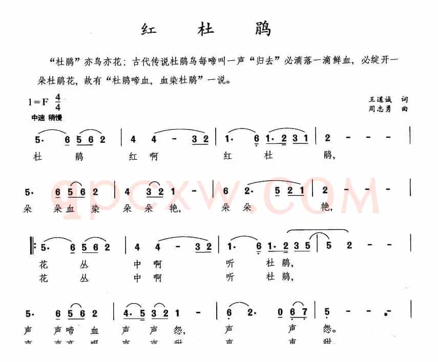 红杜鹃（王道诚词 周志勇曲）