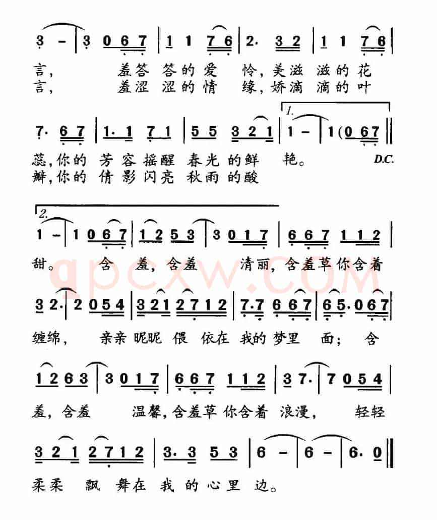 含羞草之恋