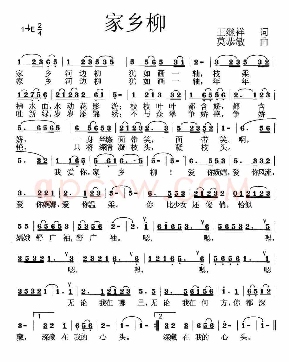 家乡柳