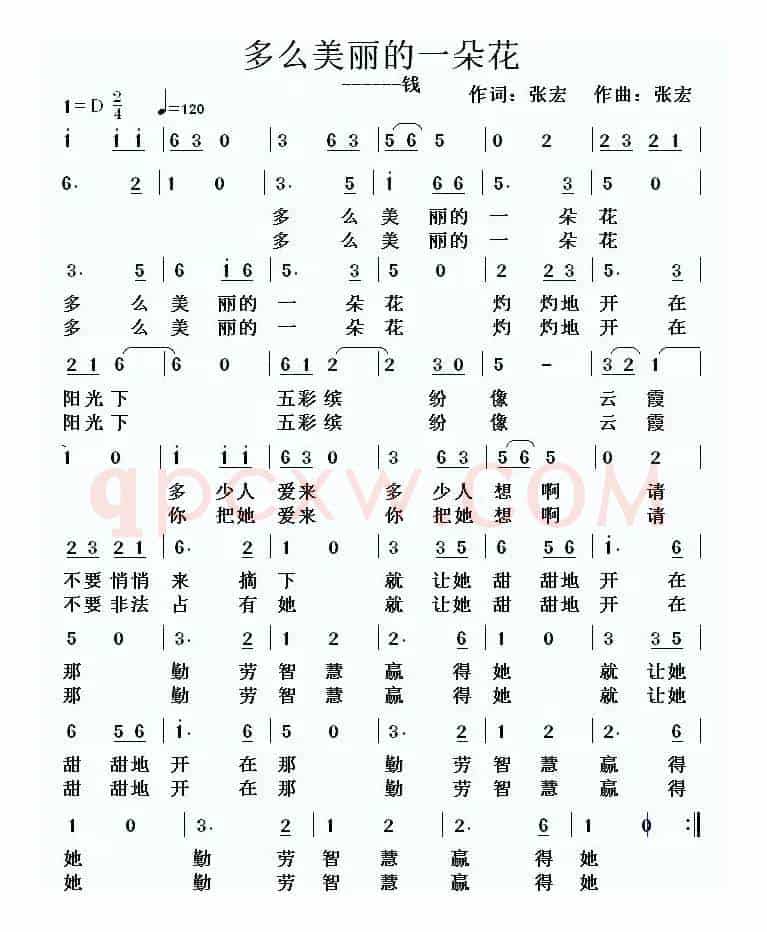 多么美丽的一朵花（钱）