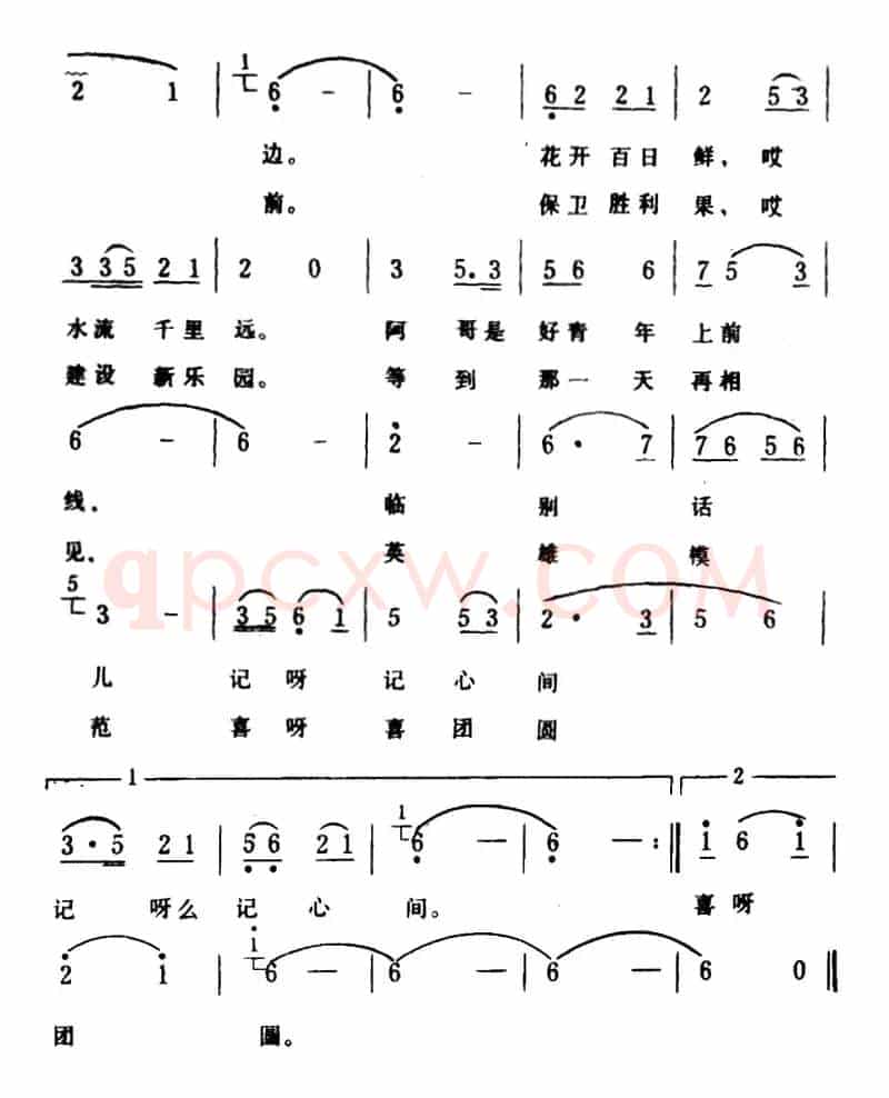 红杜鹃紫杜鹃
