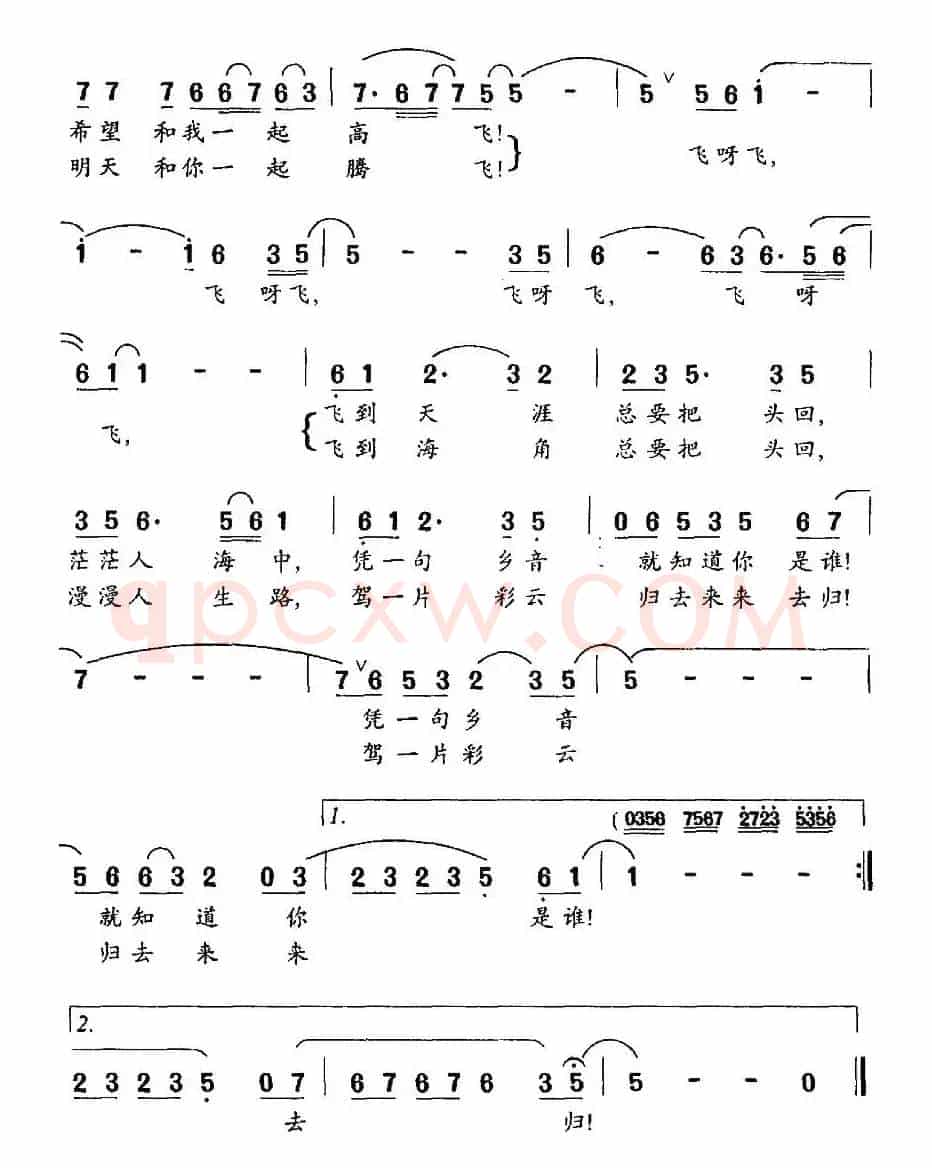 乡情 乡恋