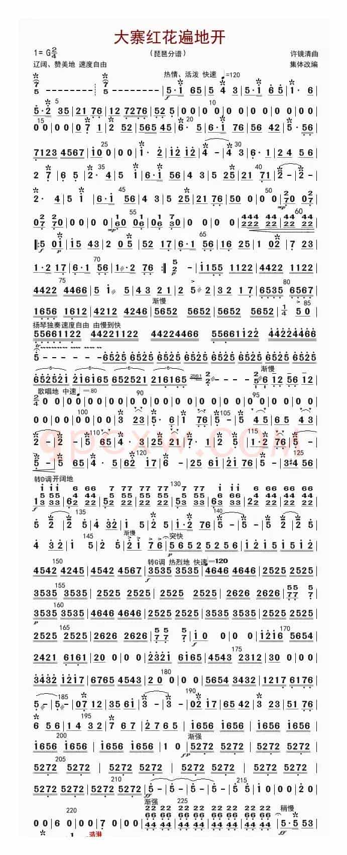 大寨红花遍地开（琵琶分谱）