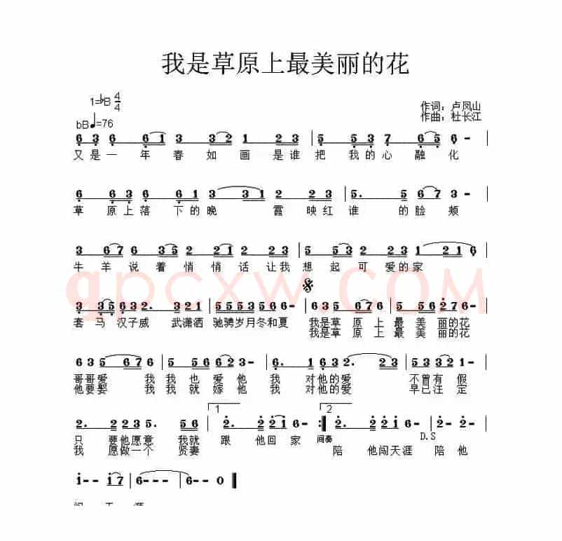 我是草原上最美丽的花