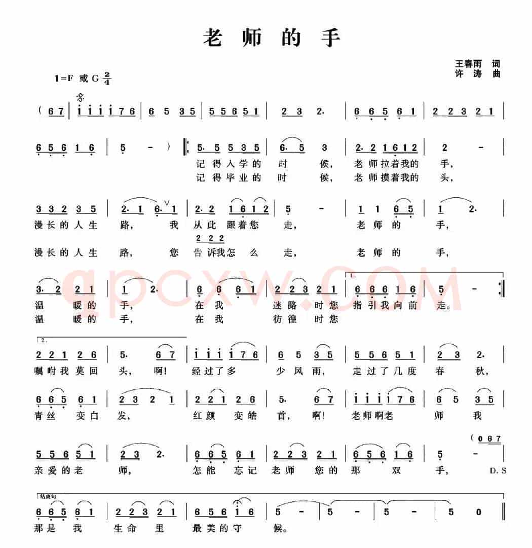 老师的手