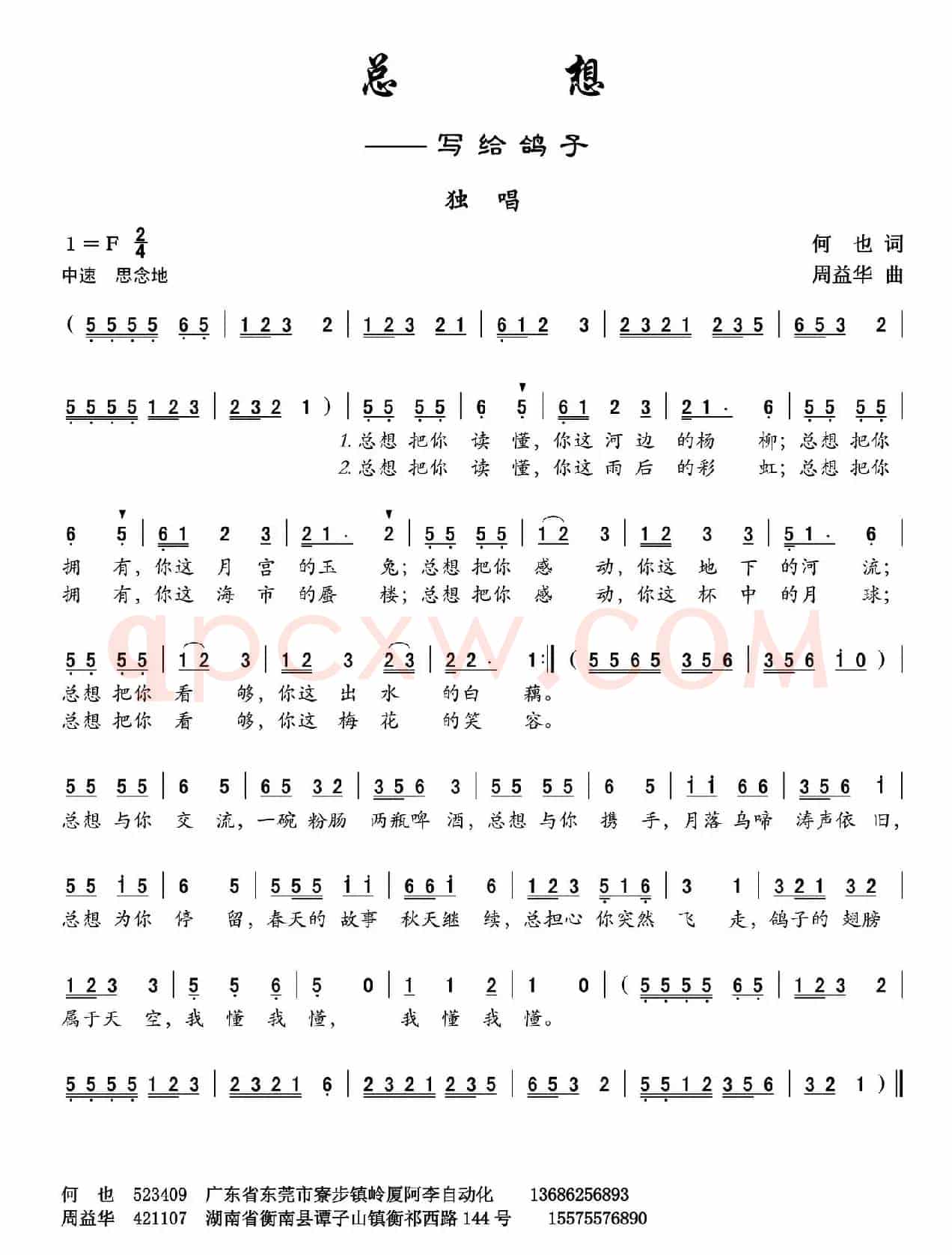 总想——写给鸽子