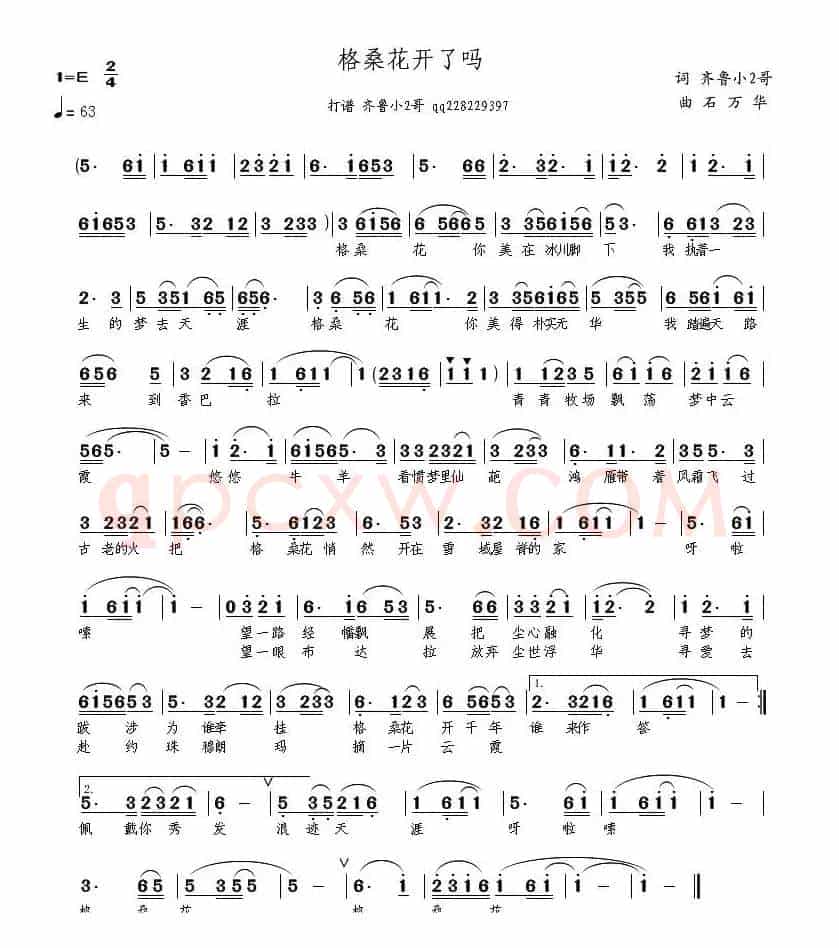 格桑花开了吗(齐鲁小2哥词 石万华曲)