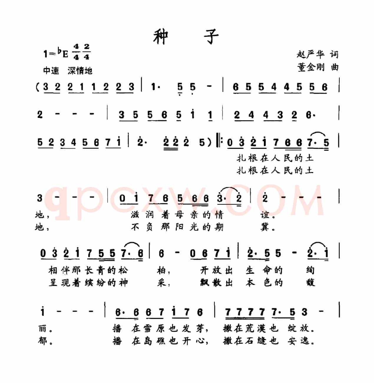 种子（赵严华词 金刚曲）