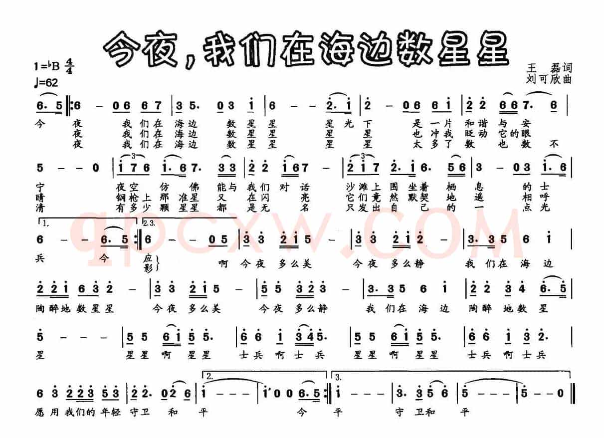今夜,我们在海边数星星