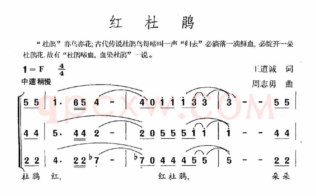 红杜鹃（王道诚词 周志勇曲）