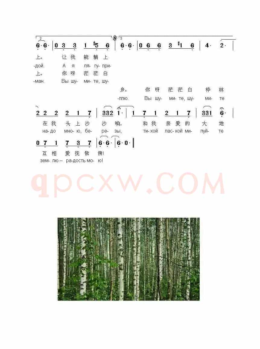 白桦树沙沙响Вы шумите березы（中俄简谱）