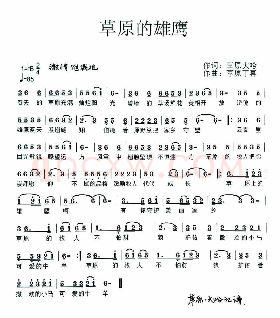 草原的雄鹰(草原大哈词 草原丁喜曲)