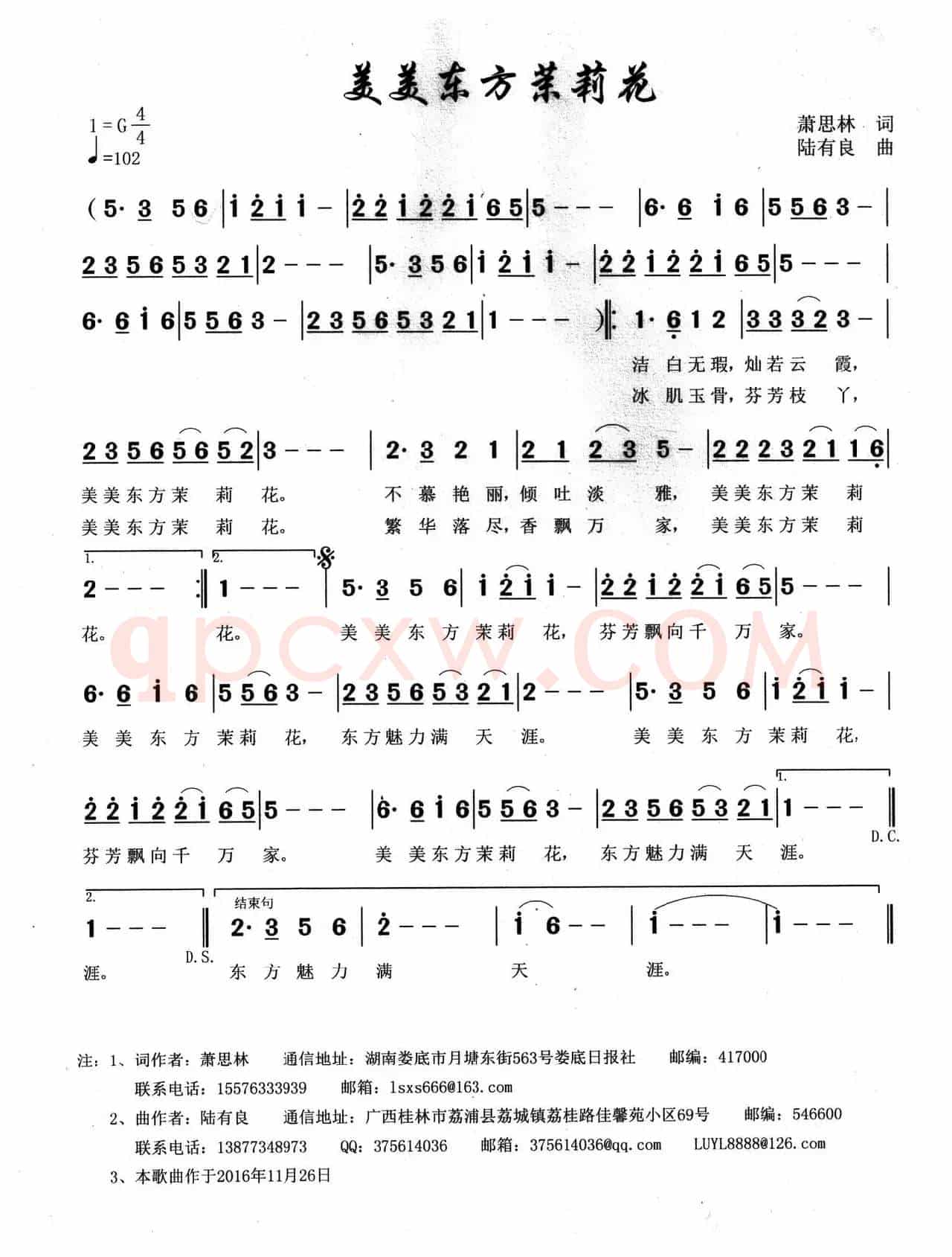 美美东方茉莉花