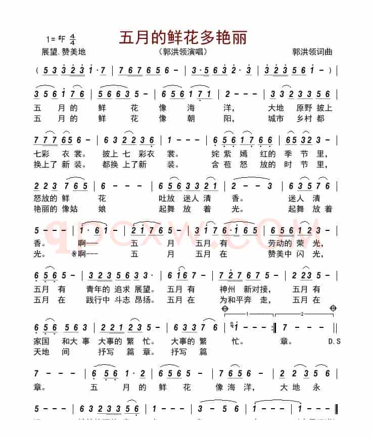 五月的鲜花多艳丽