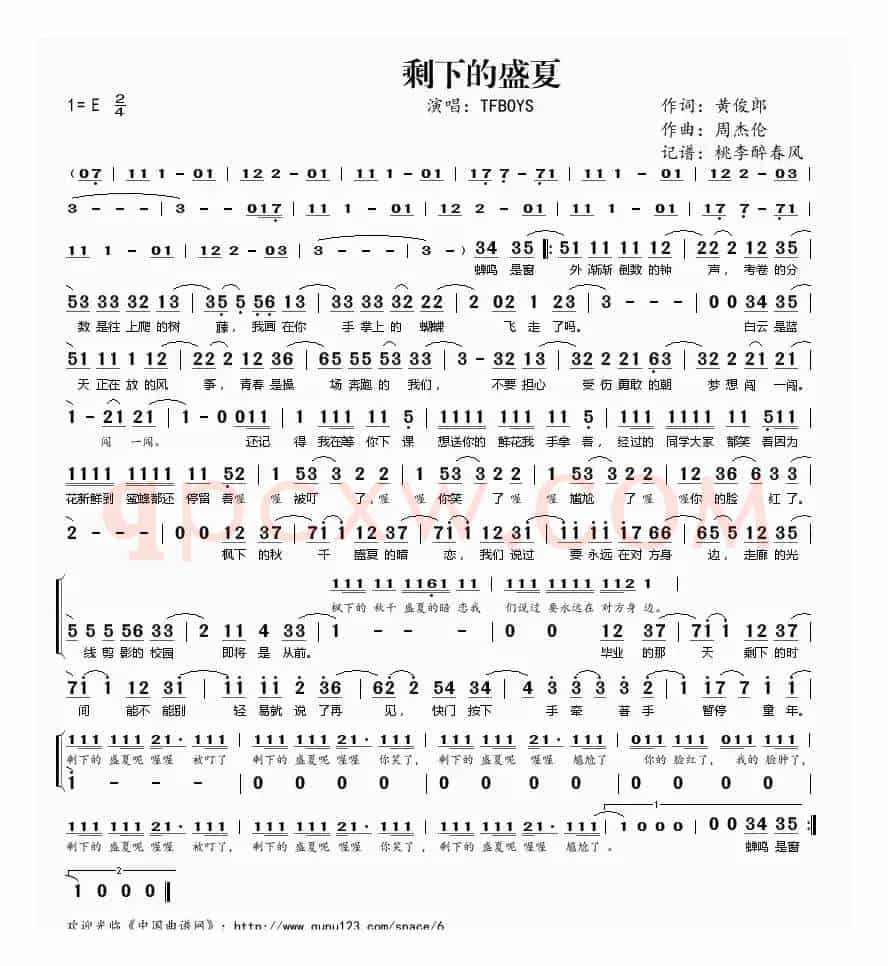 剩下的盛夏