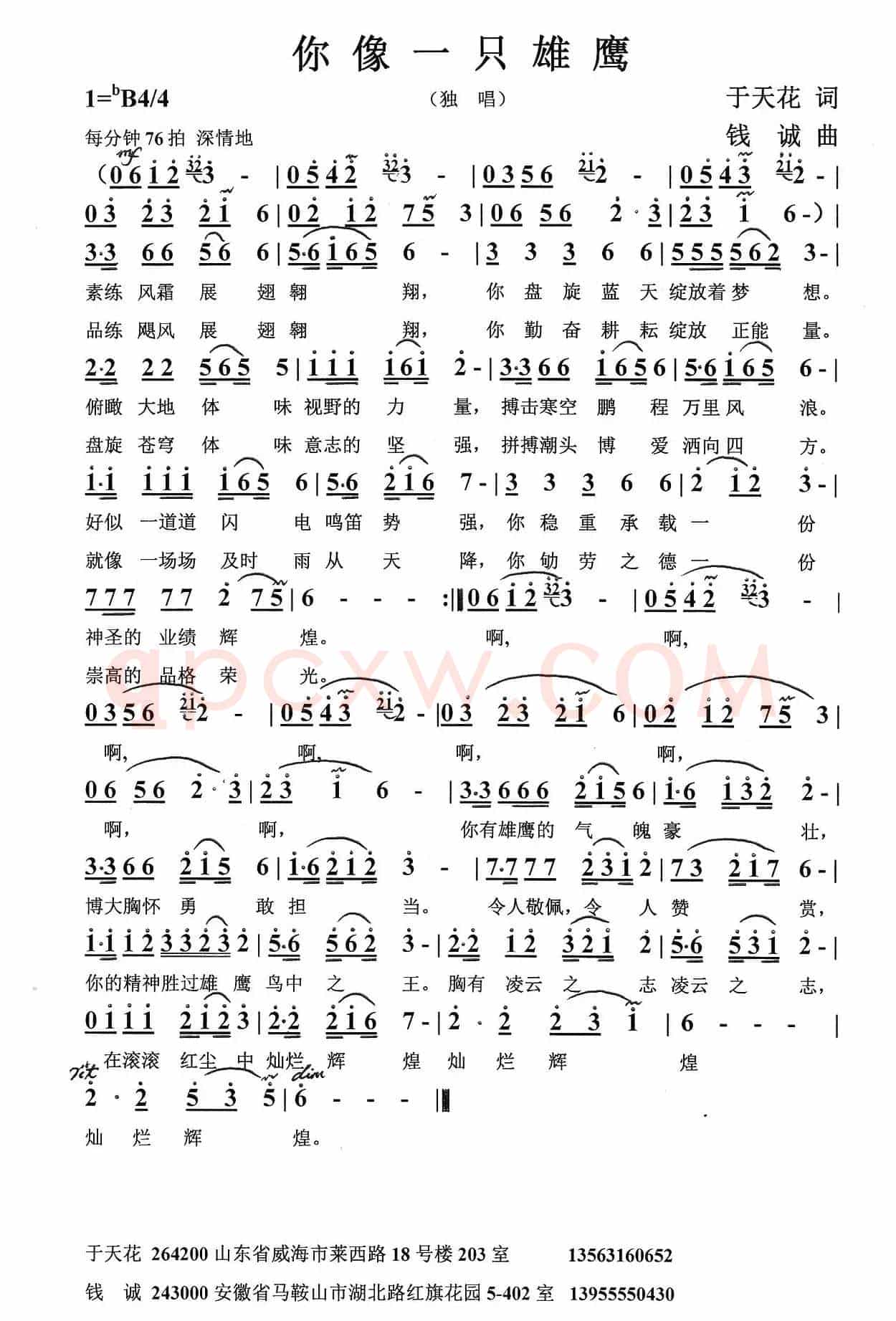 你像一只雄鹰