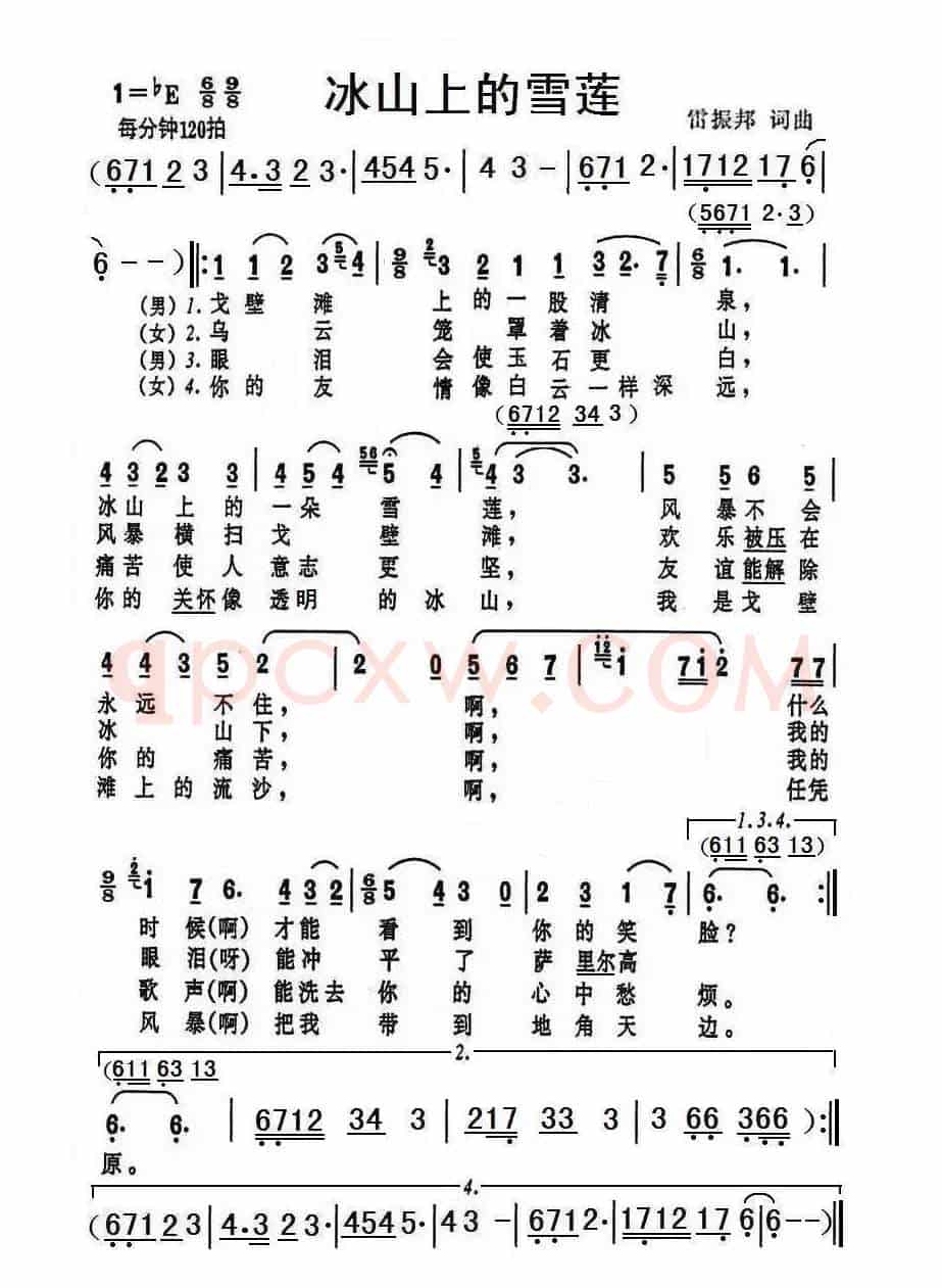 冰山上的雪莲