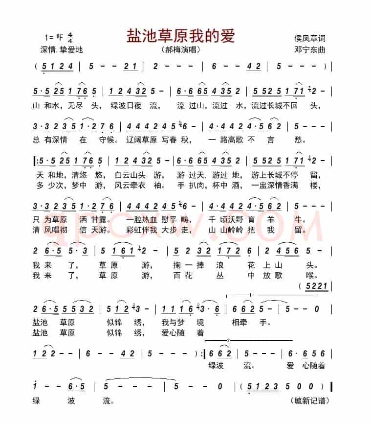 盐池草原我的爱