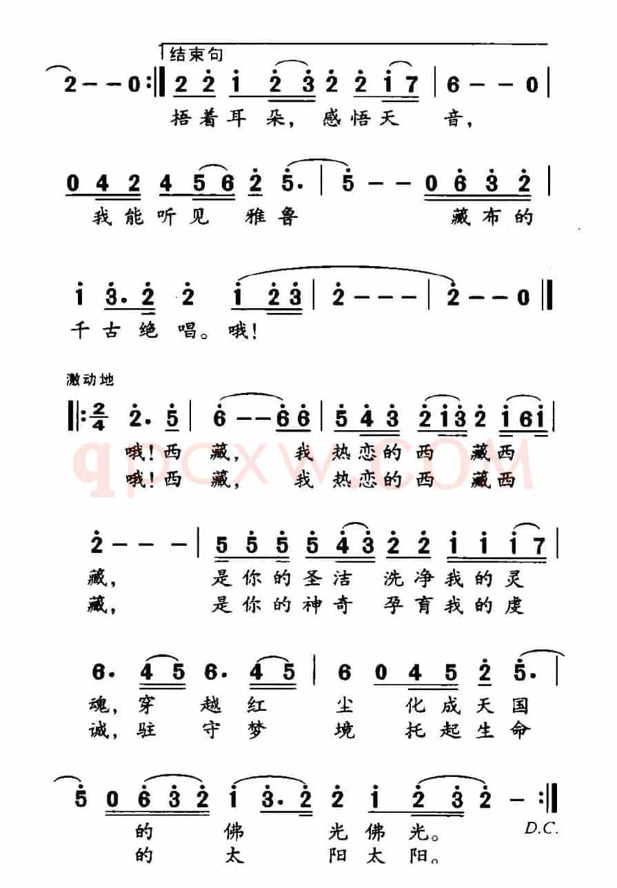 热恋的西藏
