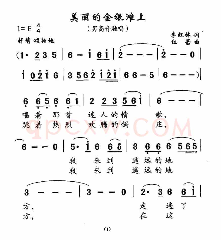 美丽的金银滩上