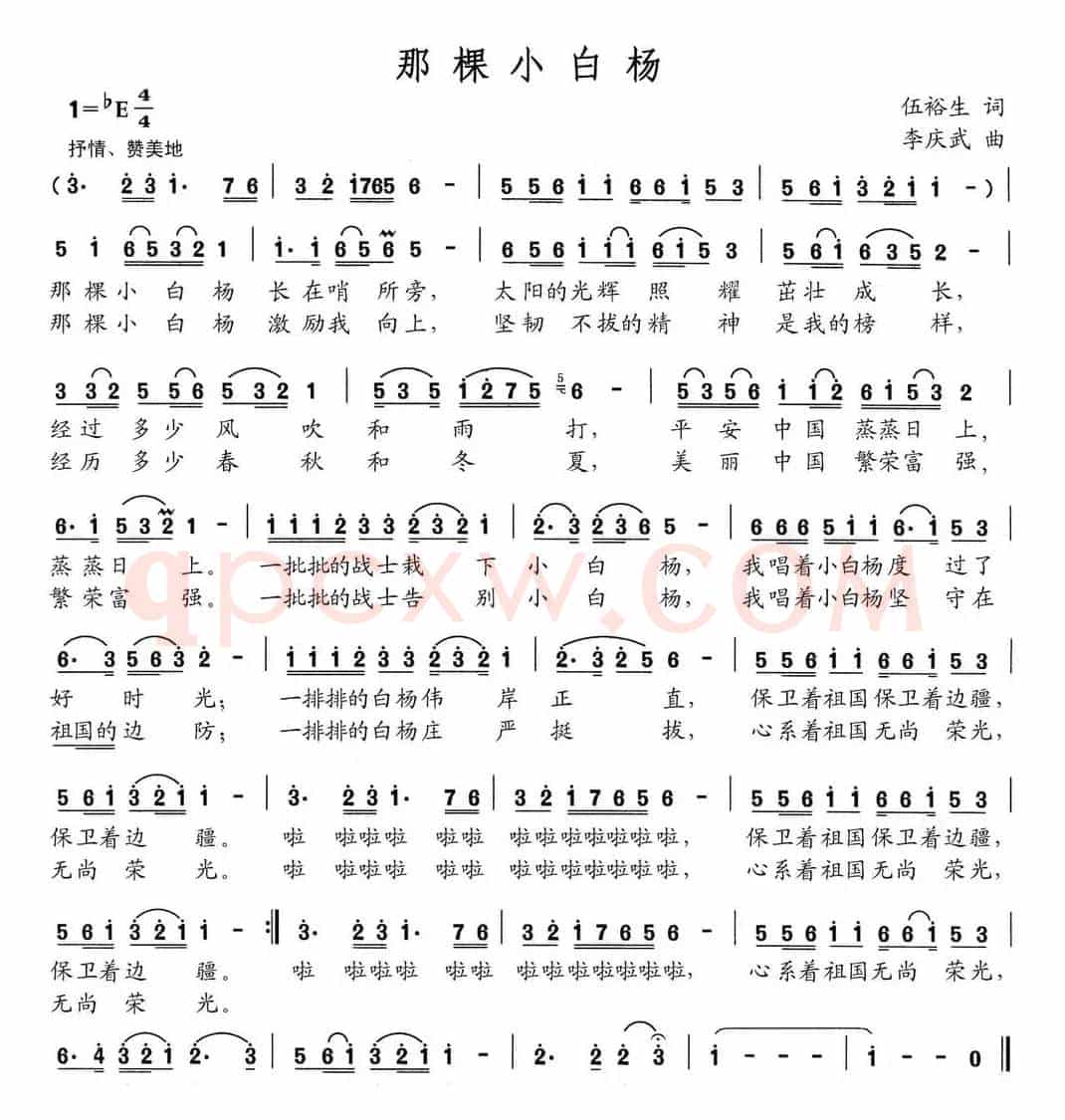 那棵小白杨