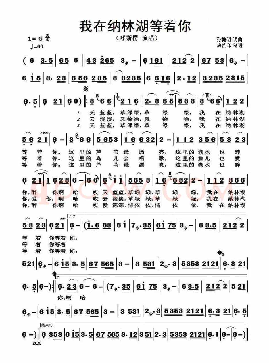 我在纳林湖等着你