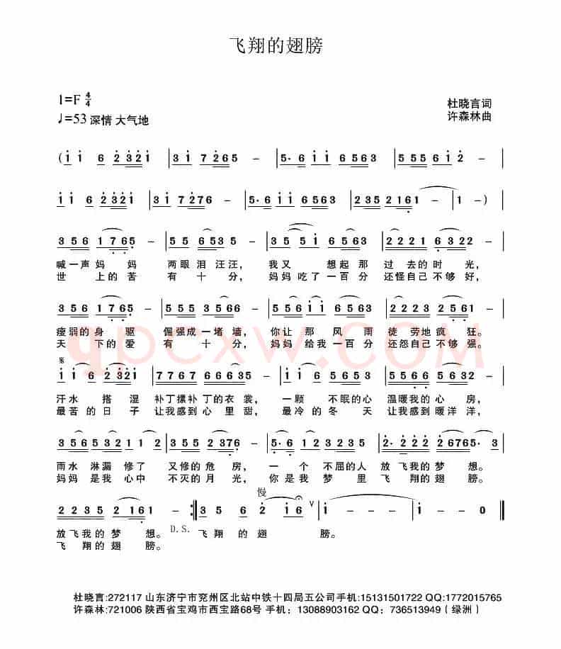 飞翔的翅膀